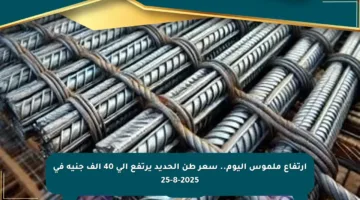 ارتفاع ملموس اليوم.. سعر طن الحديد يرتفع إلى 40 ألف جنيه في 25-8-2025